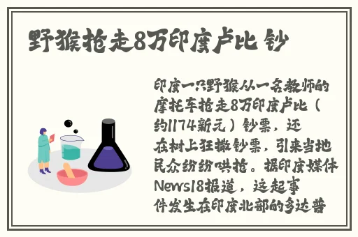 日本美女视频
