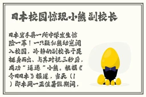 欧美精品一区二区三区免费观看